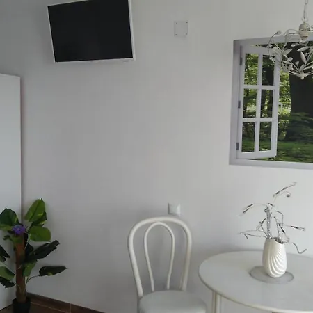 公寓 Vv Casafaromar Oceanfront Comfort 莫罗德哈布雷