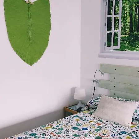 Vv Casafaromar Oceanfront Comfort *